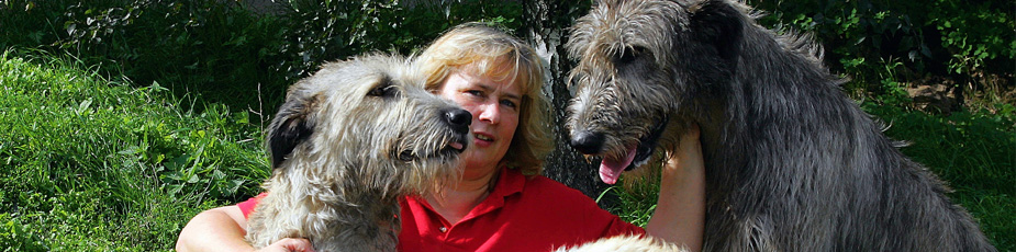 Irish Wolfhounds Dresden Slider Image 5