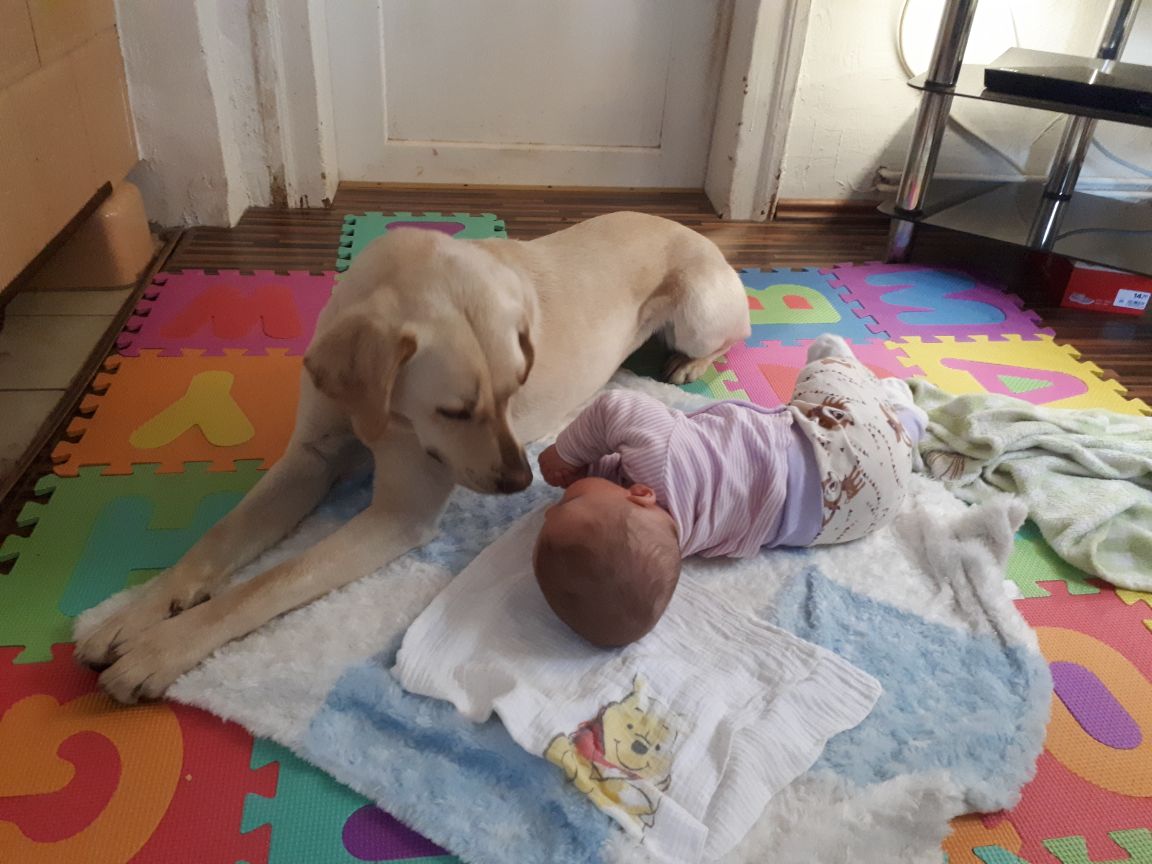 IMG 20190117 WA0019