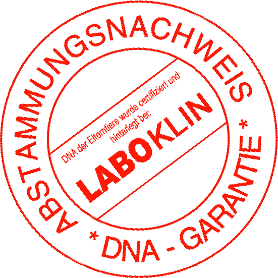 logo dna test.rund